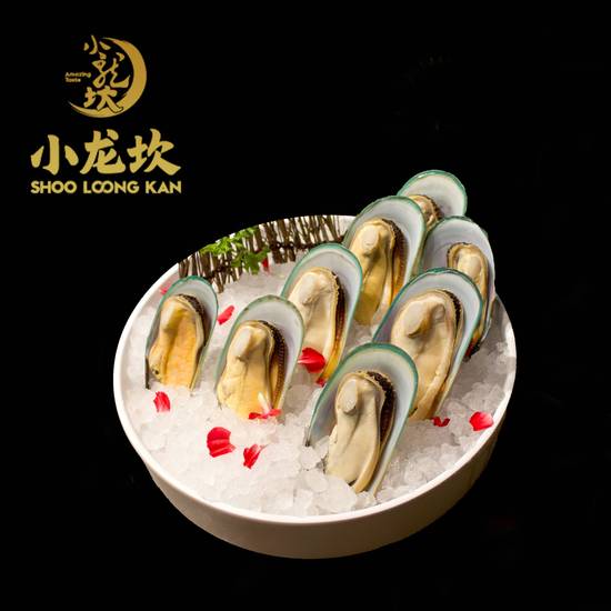 Mussels 青口